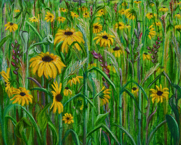 Black Eyed Susans